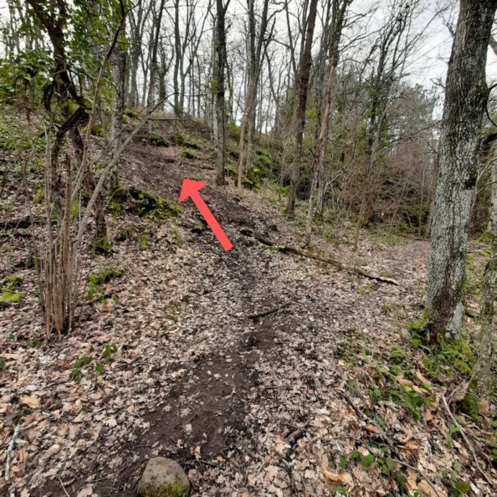 Dernière ligne droite de la montée en forêt