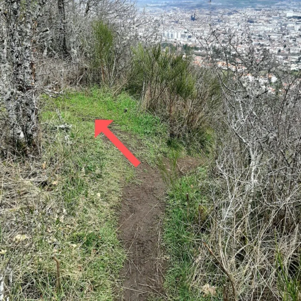 Point de vue sur Clermont-Ferrand et entrée en forêt