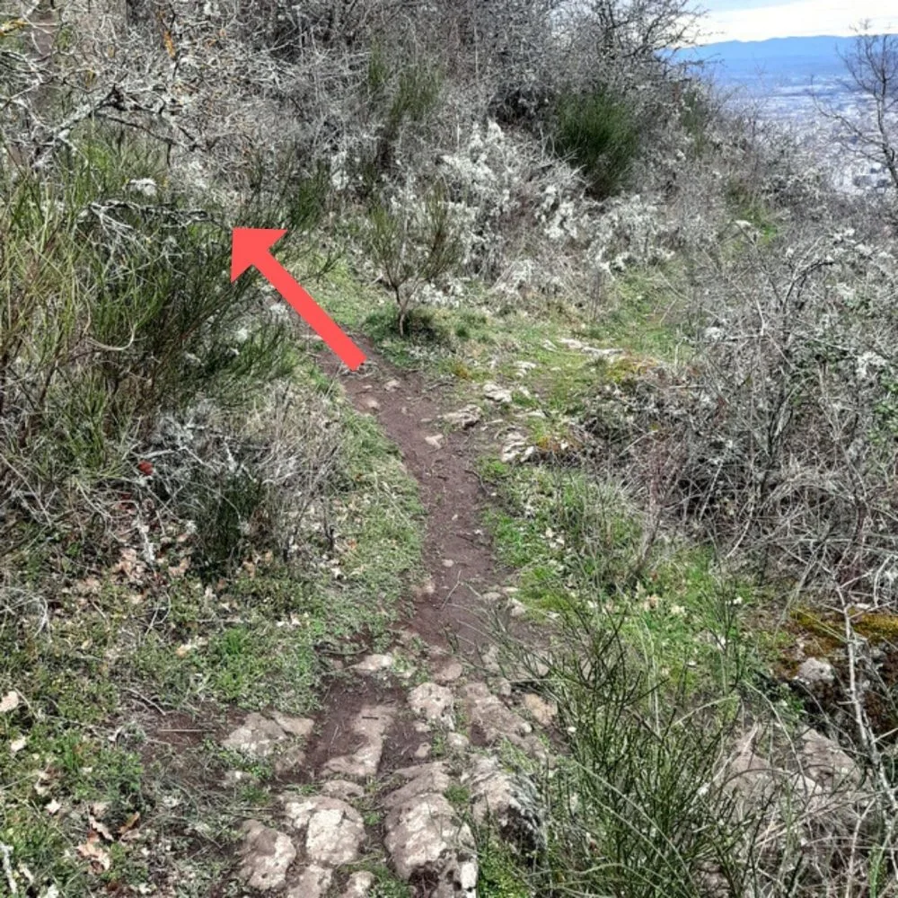 Chemin de crête de la Montagne Percée
