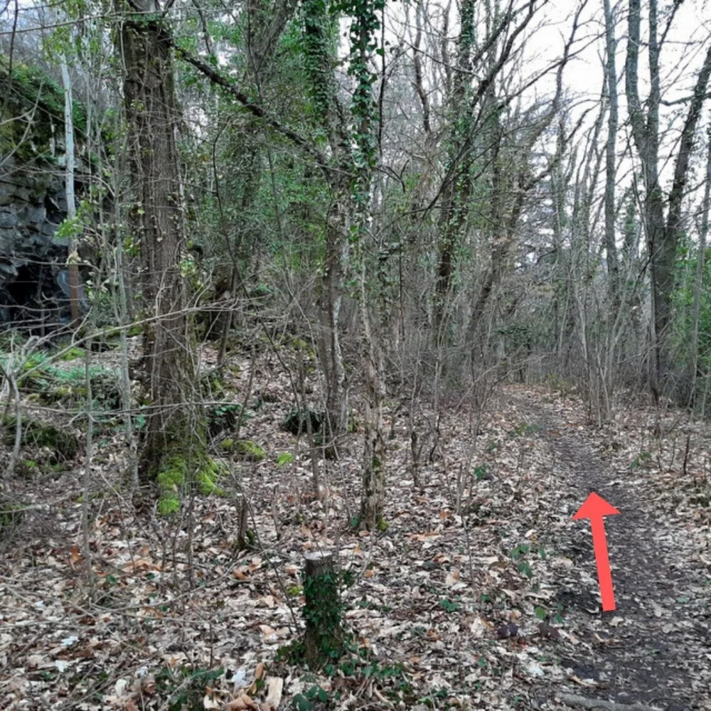 Sentier longeant le site d'escalade après la grotte