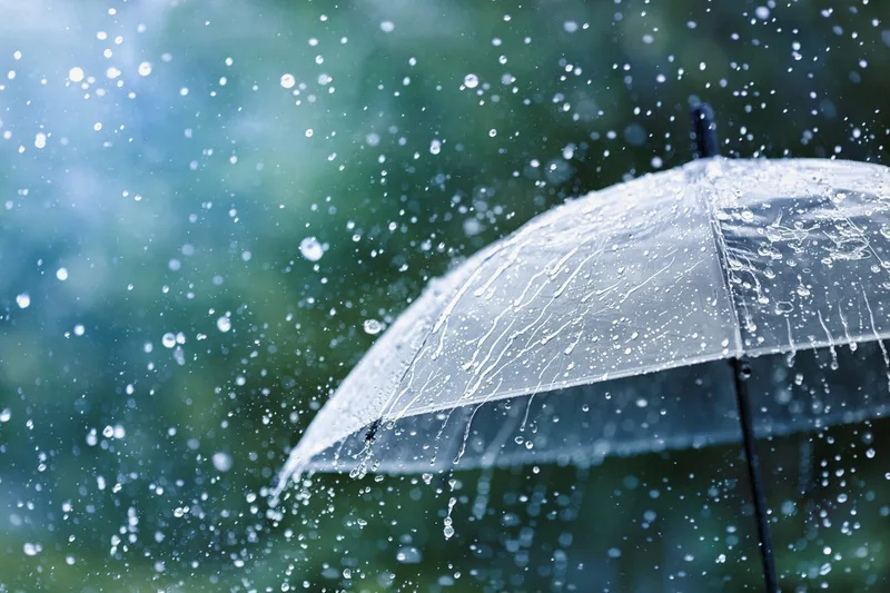 pluie parapluie